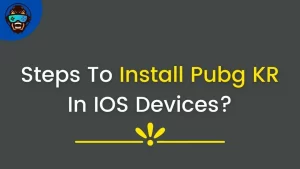 Read more about the article How To Install Pubg KR 2.2 In IOS Devices?