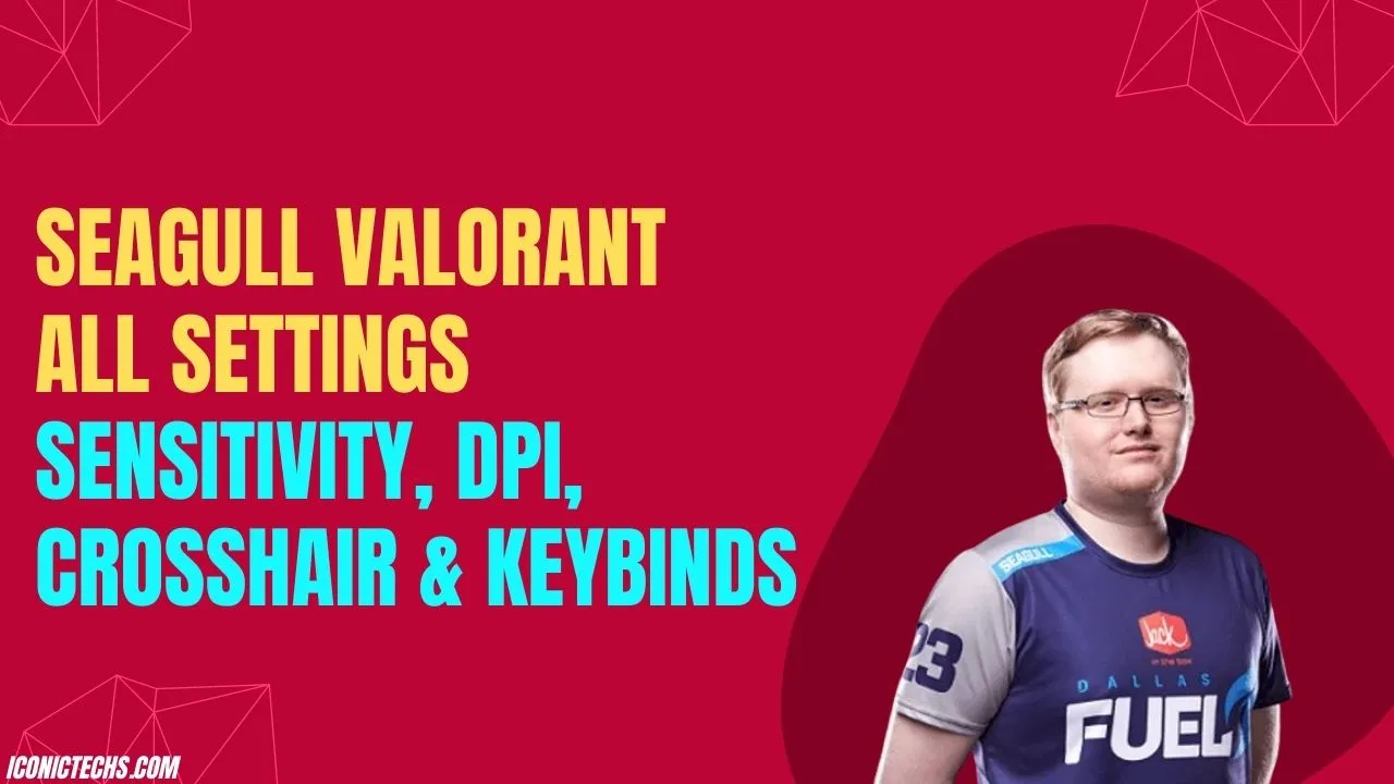 Read more about the article Seagull Valorant All Settings, Sensitivity, DPI, Crosshair & Keybinds
