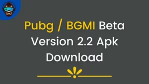 Pubg / BGMI Beta Version 2.2 Apk Download