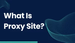 What Is Proxy Site?